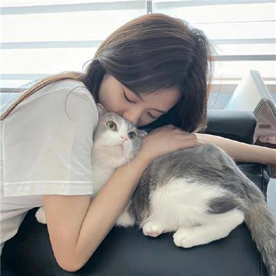 张保仔粤语